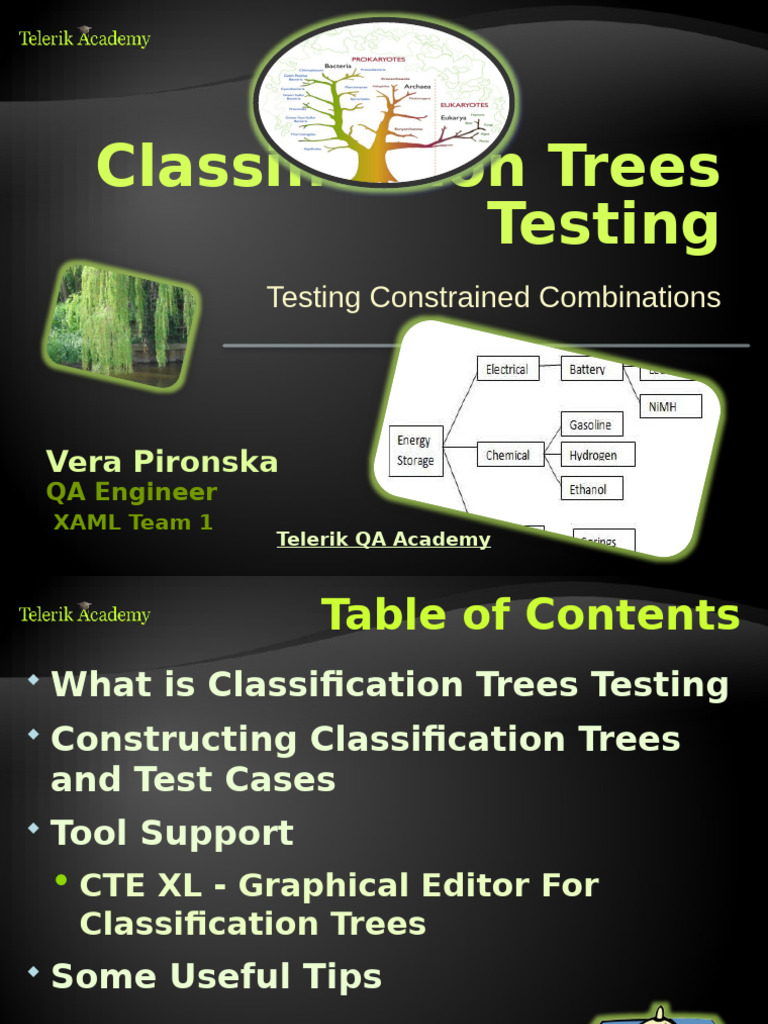 Classification Trees Testing Guide | PDF | Software Engineering | Computing
