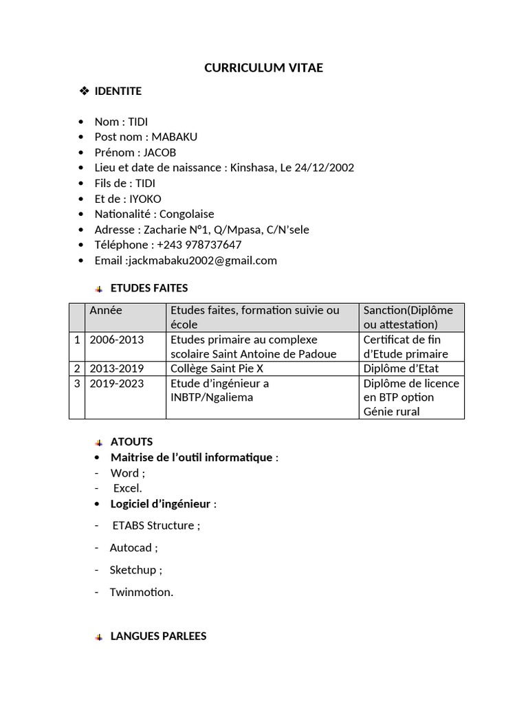 CV de Jacob Tidi Mabaku, Ingénieur BTP | PDF