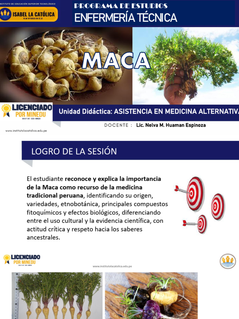 Beneficios y usos de la maca peruana | PDF