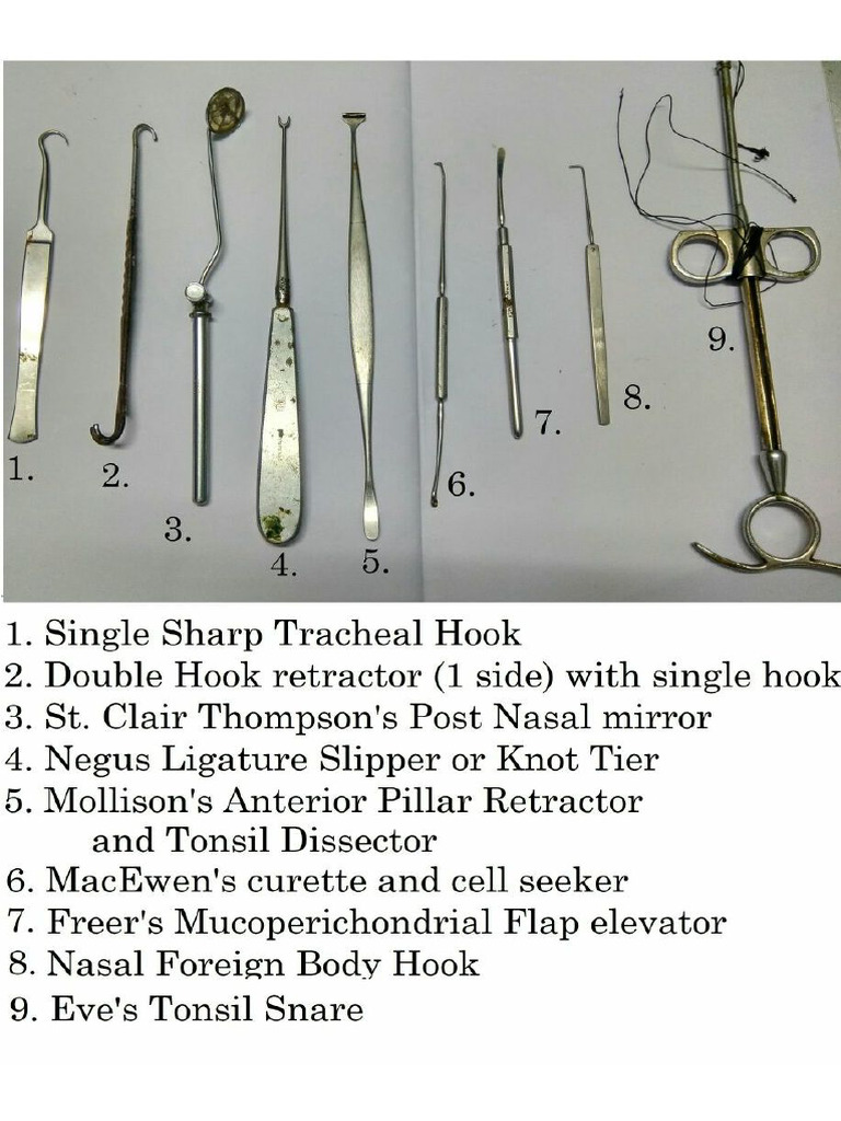 ENT Instruments | PDF