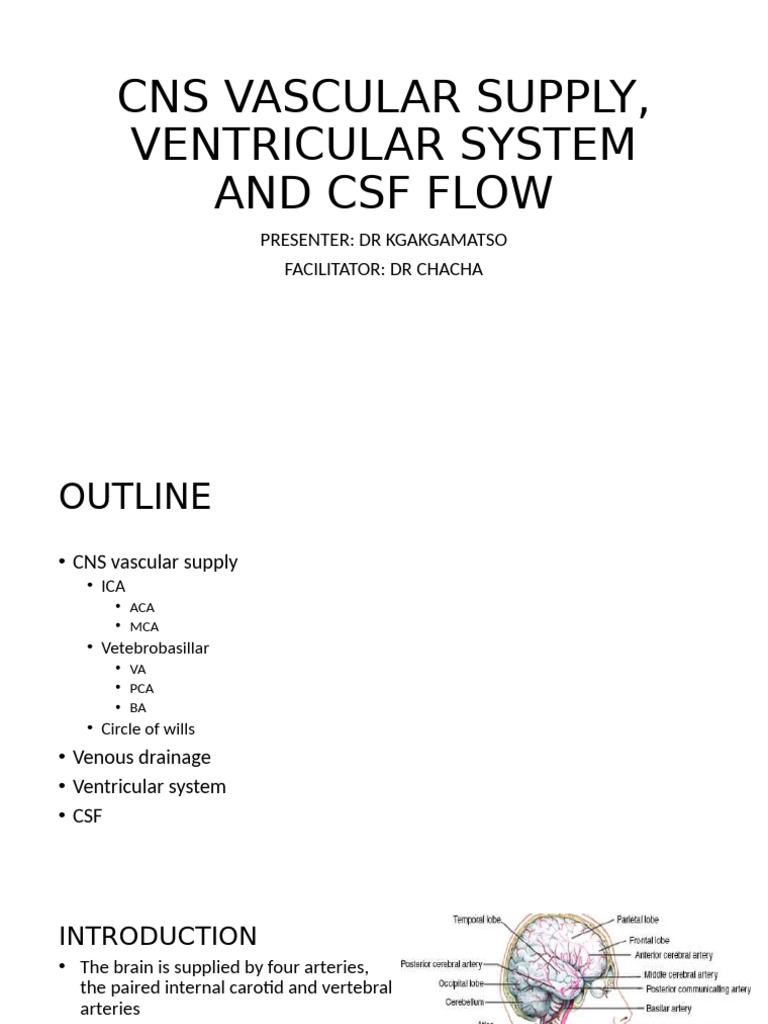 CNS Vascular Supply and CSF Flow Overview | PDF | Cerebrospinal Fluid ...