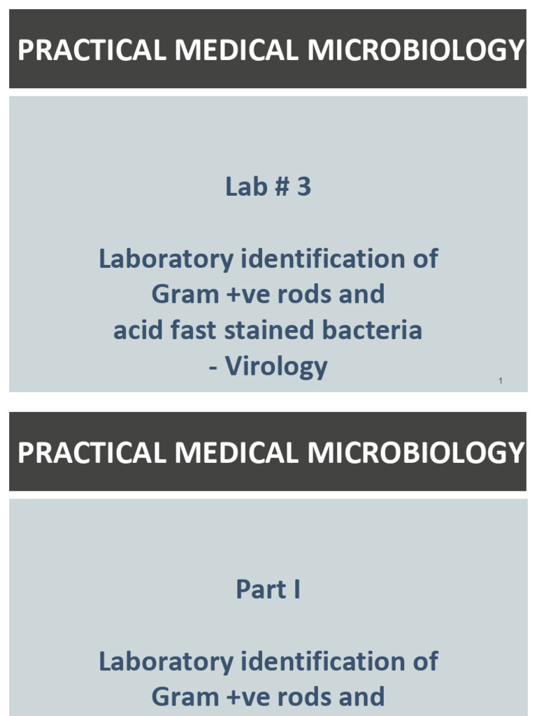 Gram Positive Bacteria Identification Guide | PDF | Elisa | Growth Medium