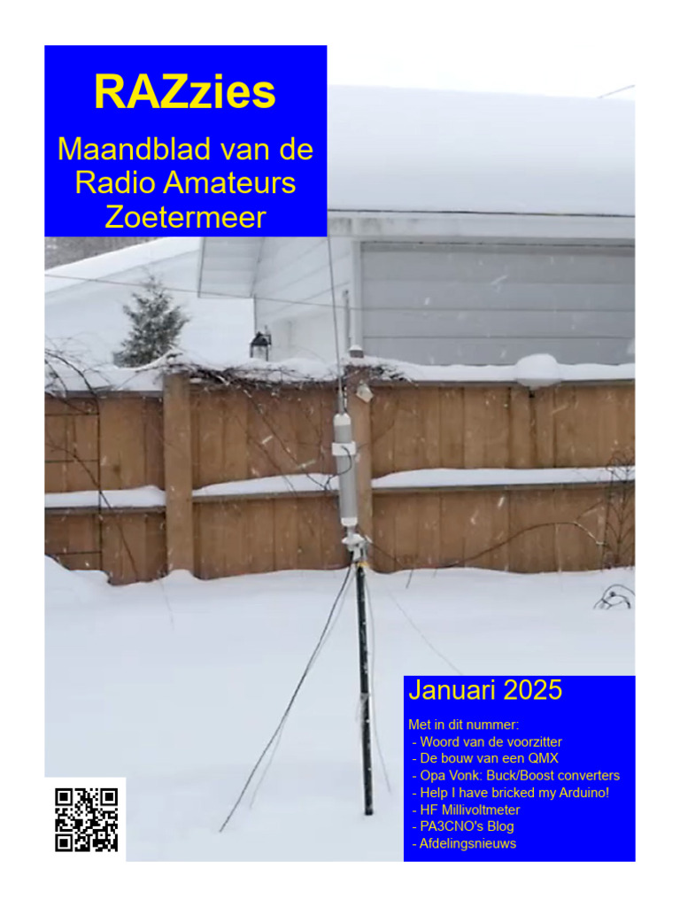 Razzies 202501 | PDF