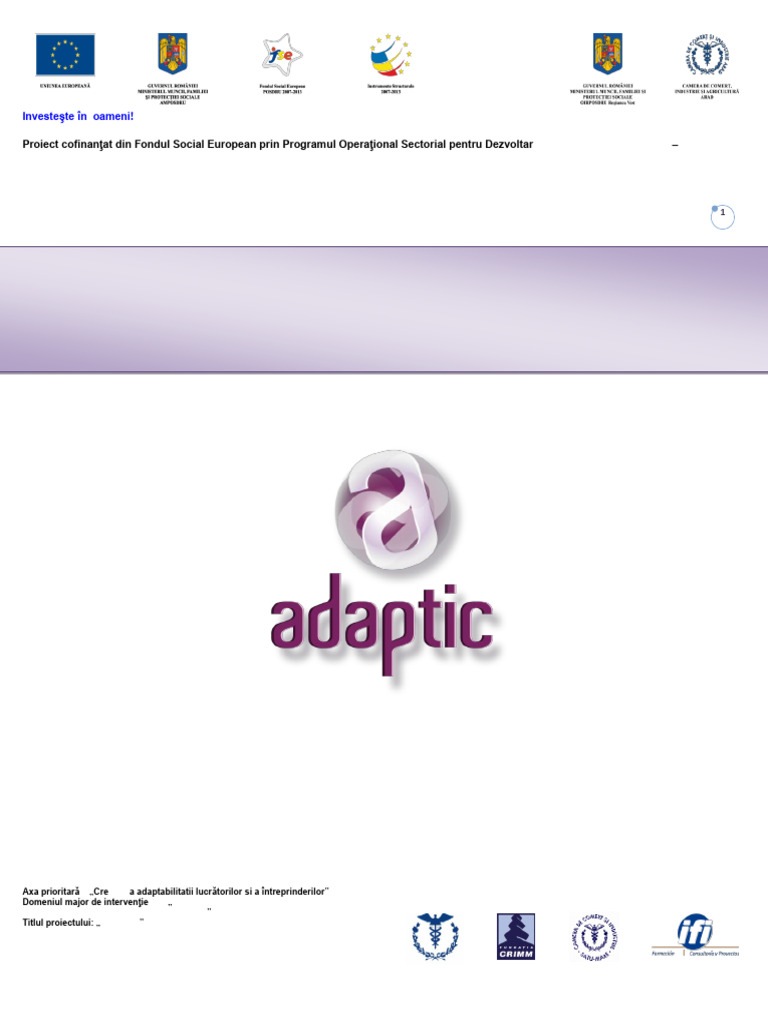 E Government | PDF