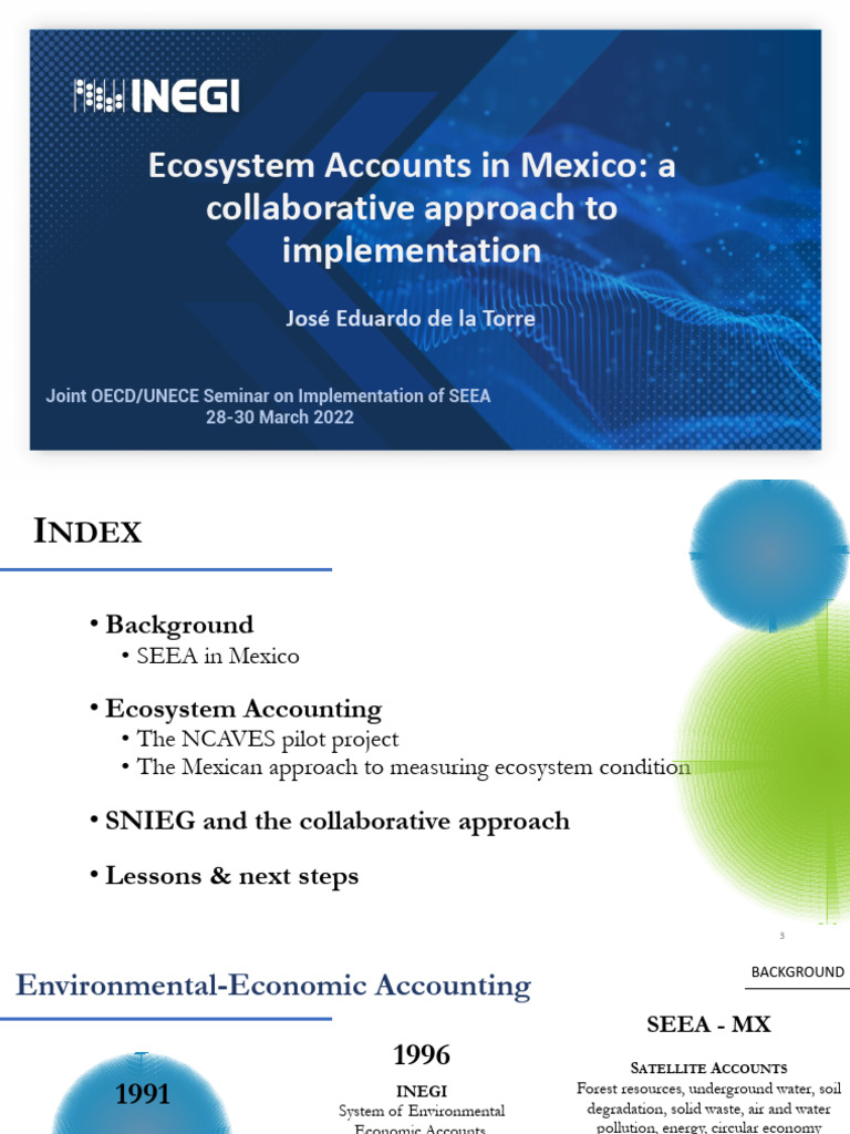 Ecosystem Accounting Implementation in Mexico | PDF | Ecosystem | Ecology