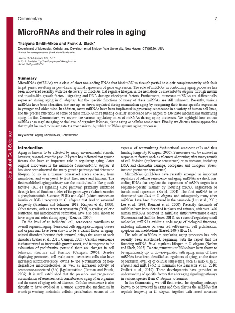 MicroRNAs and Aging Pathways Explained | PDF | Micro Rna | Messenger Rna