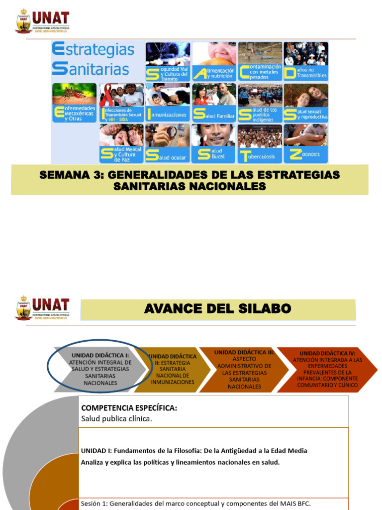Generalidades de Las Estrategias Sanitarias Nacionales | PDF ...