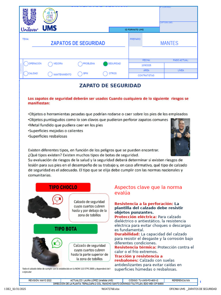 Zapatos de Seguridad | PDF