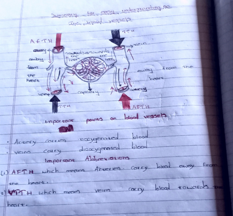 PDF Science Notes For Manda??? | PDF