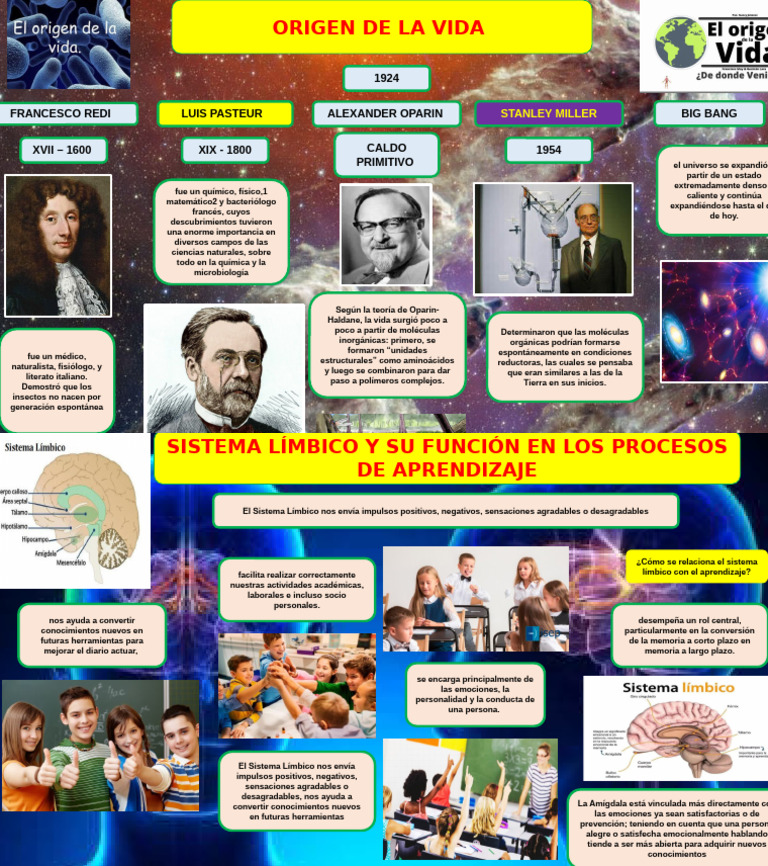 Infografia Origen de La Vida | PDF | Abiogénesis | Las emociones