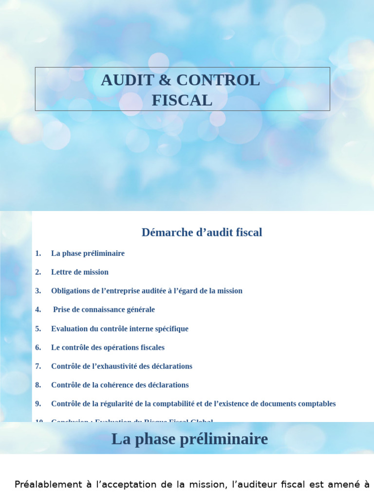 Audit Fiscal : Guide Complet des Étapes | PDF | Audit | Audit financier