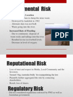 BHP Risks