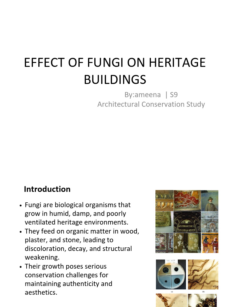 Effect of Fungi On Heritage Buildings - PPTX 20251101 011827 0000 | PDF ...