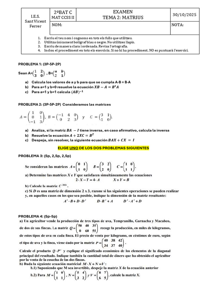 Examen de Matrices | PDF