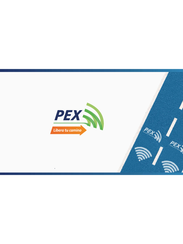 Guía de Acceso y Uso del Portal PEX | PDF | Informática | ciberespacio