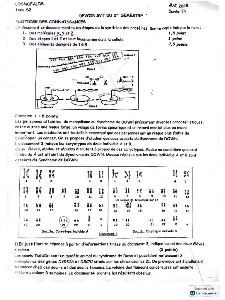 Révision 1er S | PDF