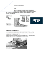 Apuntes Emergencias Osteomusculares