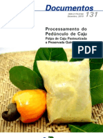 Polpa de Caju HTTPWWW - Cnpat.embrapa - Brcnpatcdjssacervodc - 131 PDF