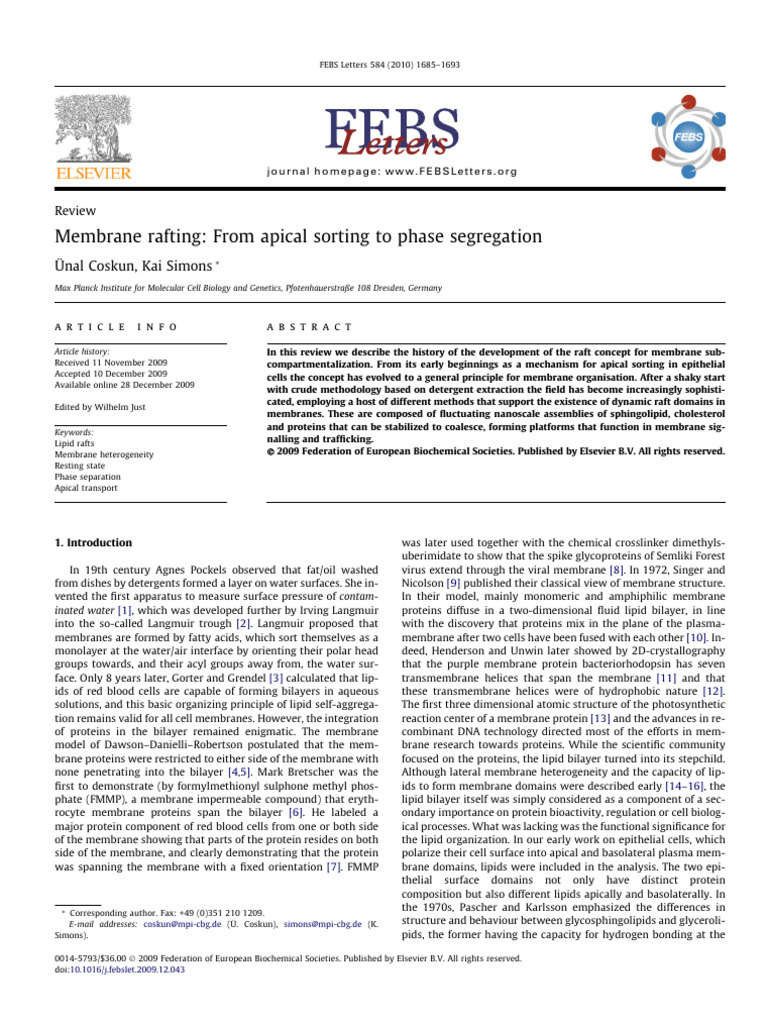 Membrane Raft Dynamics and Function | PDF | Cell Membrane | Lipid Bilayer