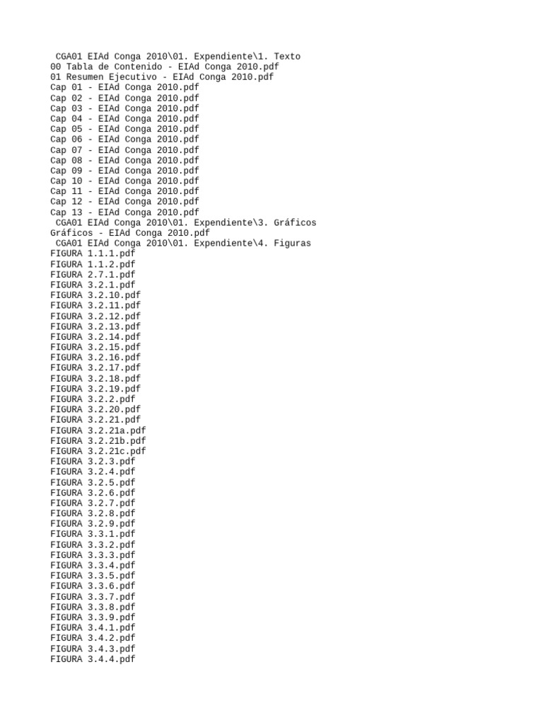 EIAd Conga Project Documentation | PDF | Computer Vision ...