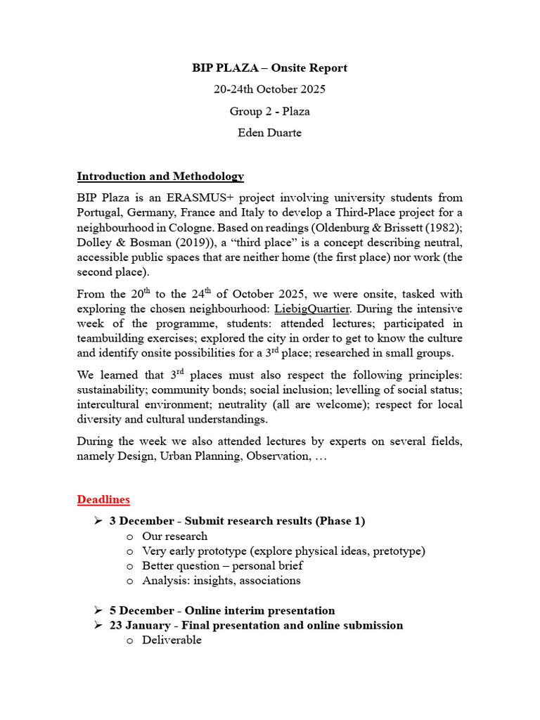 BIP Plaza Onsite Report: Cologne Project | PDF