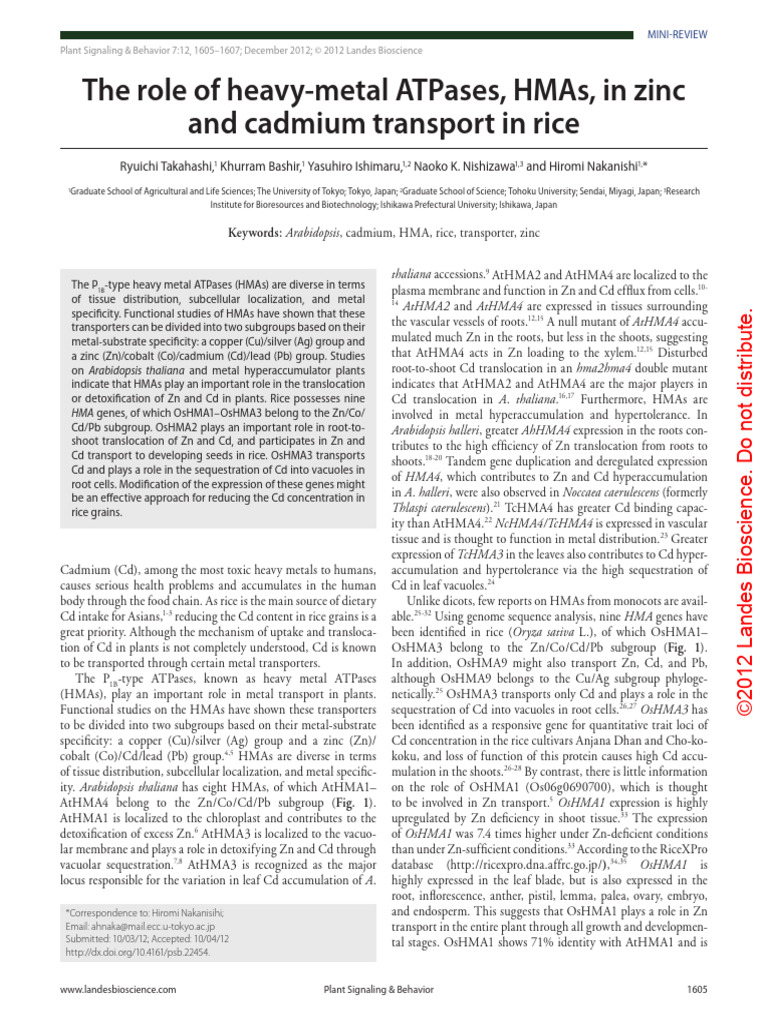 The Role of Heavy-Metal ATPases, HMAs, in Zinc and Cadmium Transport in ...