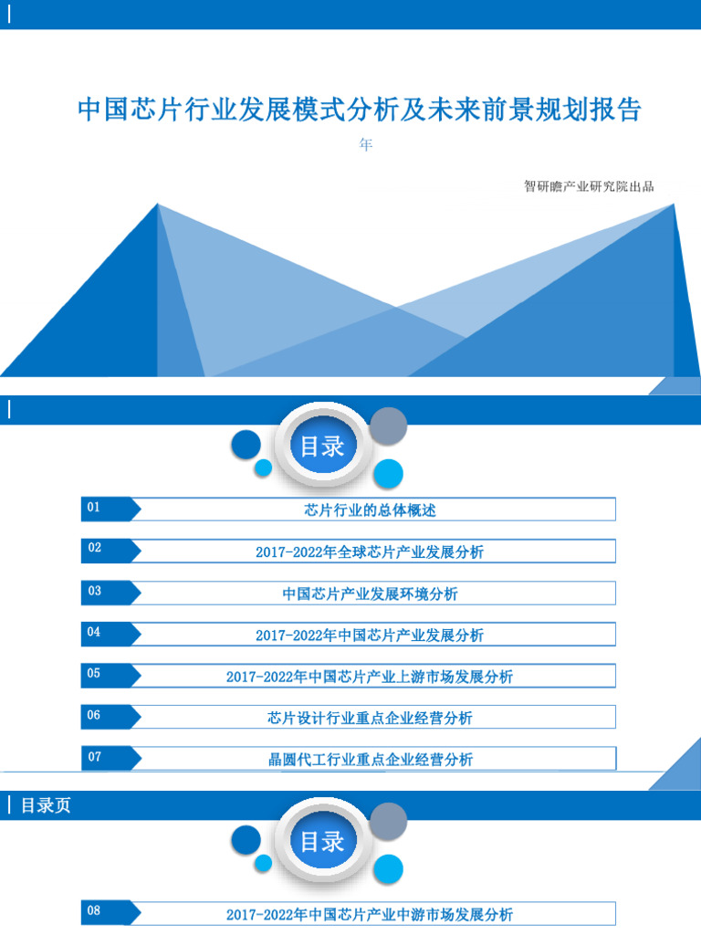 2023 2029年中国芯片行业发展模式分析及未来前景规划报告| PDF