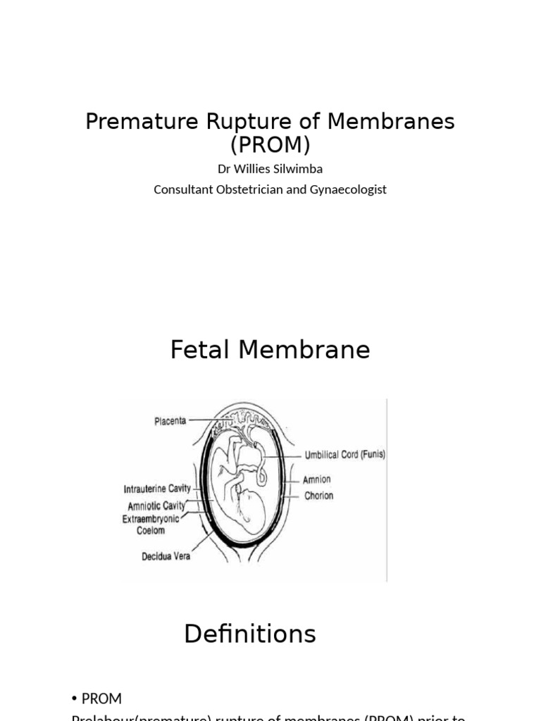 Prom - Pprom Presentation 26.02.2025 - 092051 | PDF | Childbirth ...
