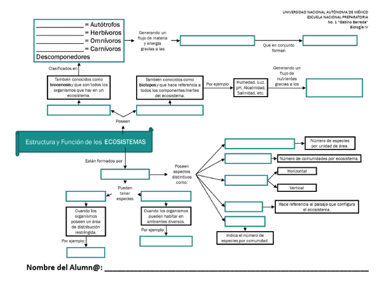 Organizador Gráfico - Estructura y Función de Los Ecosistemas | PDF
