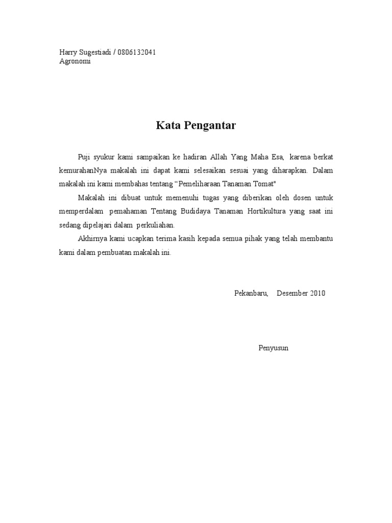 Tugas Makalah Hortikultura Tanaman Tomat