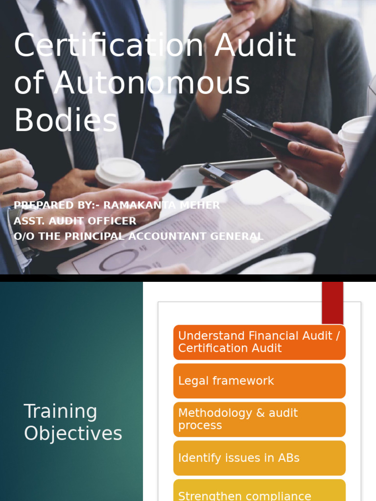 Training Autonomous Bodies | PDF | Audit | Auditor's Report