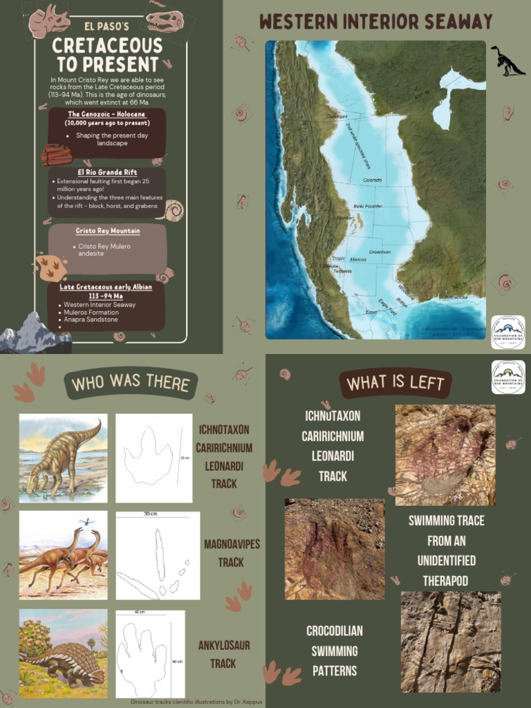 El Paso Cretaceous Period Final | PDF | Cretaceous | Earth Sciences