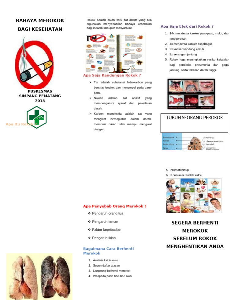 Bahaya Merokok dan Cara Berhenti | PDF