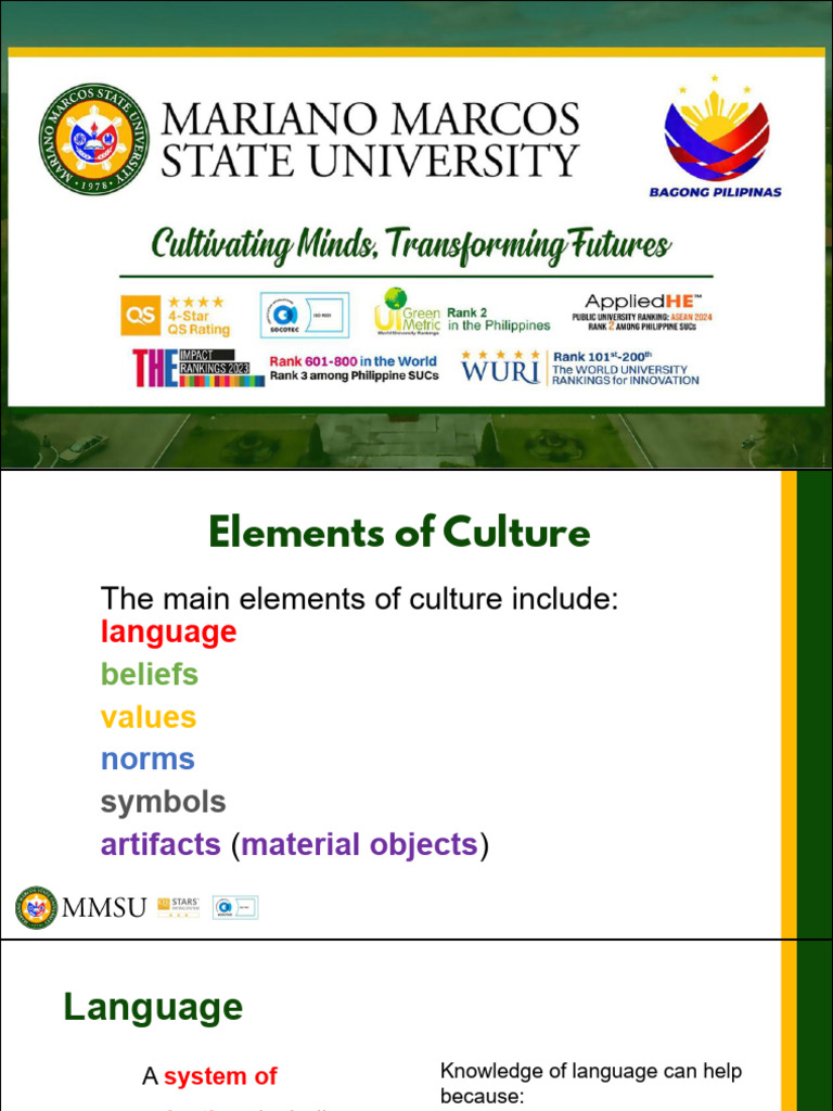 Key Elements of Culture Explained | PDF