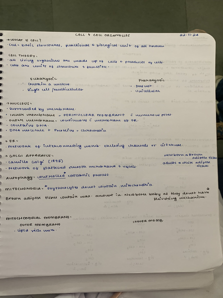 Notes 1 | PDF
