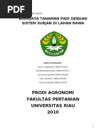 Download Budidaya Tanaman Padi Dengan Sistem Surjan Di Lahan Rawa by Harry SN94140812 doc pdf