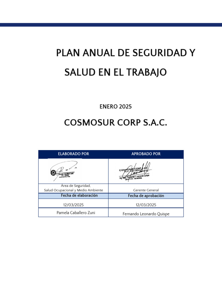 Plan Anual de Seguridad 2025 - Cosmosur | PDF | Seguridad y salud ...