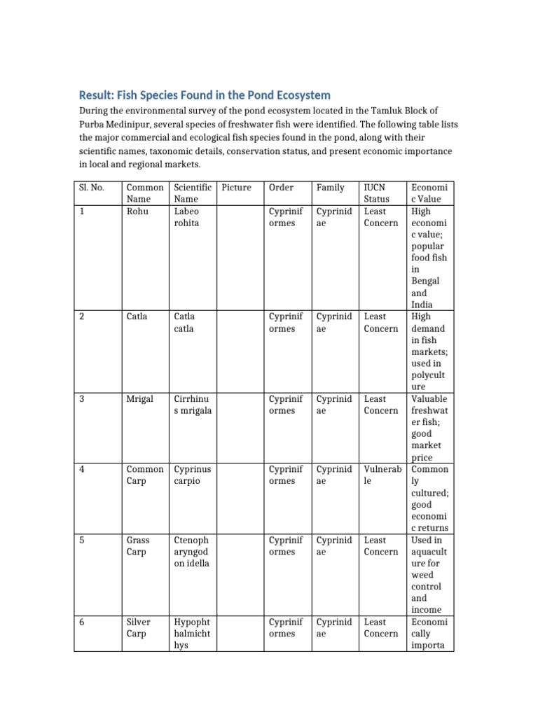 Freshwater Fish Species in Tamluk Pond | PDF | Fish And Humans | Fish