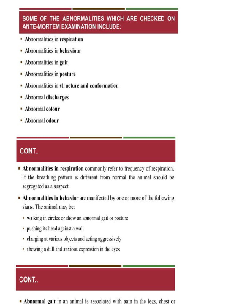 Antemortem Examination Exercise Guidelines | PDF