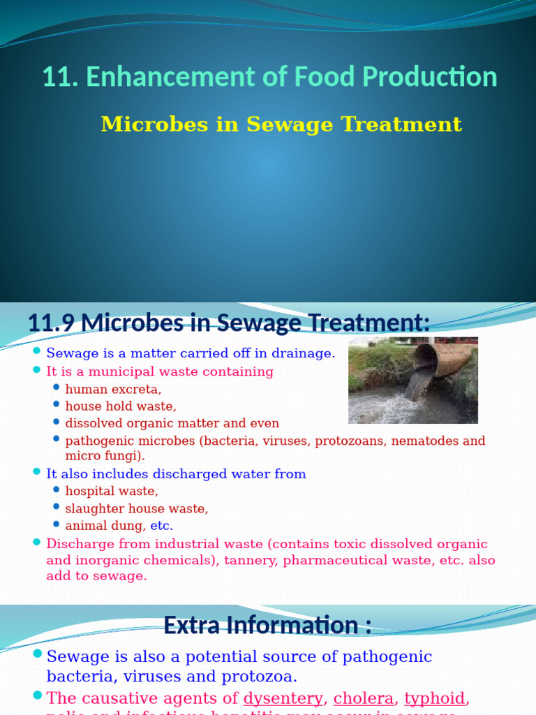 Microbial Role in Sewage Treatment | PDF | Sewage Treatment | Anaerobic ...