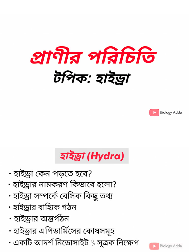 Biology Adda Hydra 1 SV | PDF