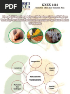 Perubatan Tradisional Melayu