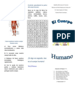 Sistema muscular: Cómo se mueve el cuerpo