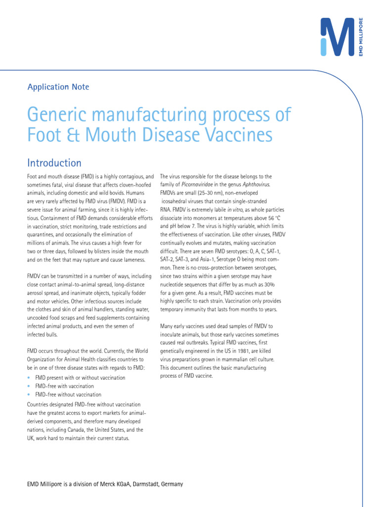 FMD Vaccine Manufacturing Process Guide | PDF | Vaccines | Cell Culture