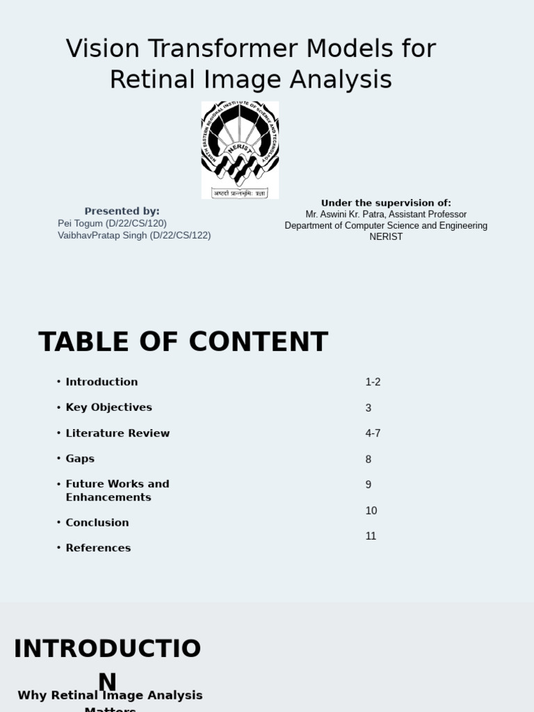 Vision Transformers for Retinal Analysis | PDF | Retina | Receiver ...