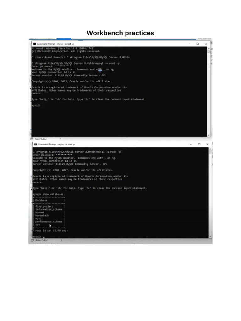 Workbench Practices | PDF