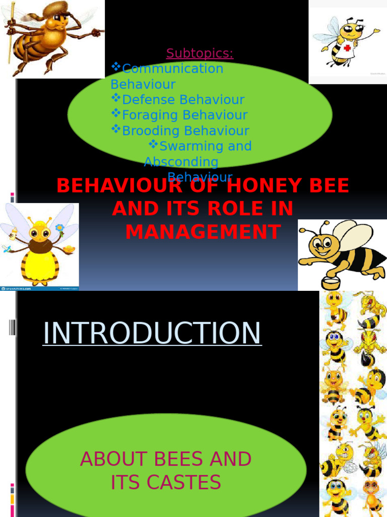 Honey Bee Behavior and Management Insights | PDF | Honey Bee | Eusociality