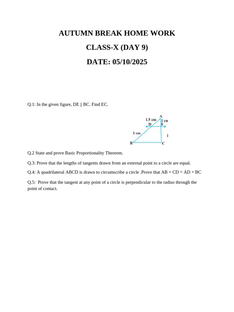 Class X Autumn Break Math Homework | PDF