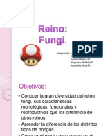 Reino fungi. La gran diversidad de hongos