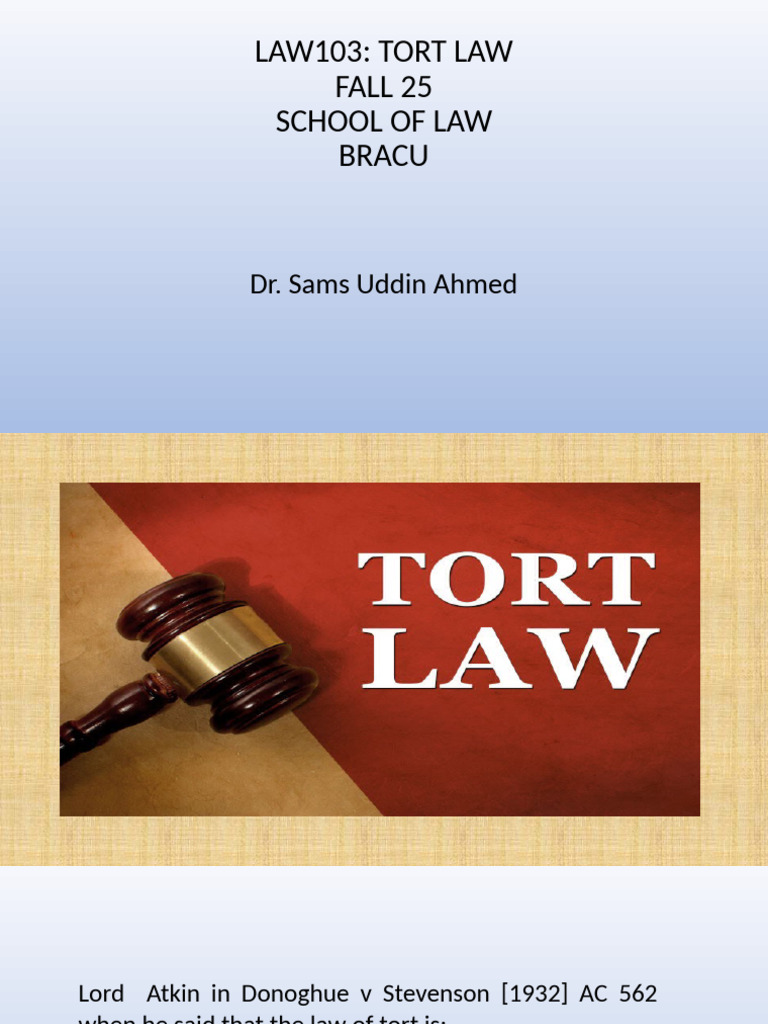 Overview of Tort Law Principles | PDF | Tort | Legal Liability